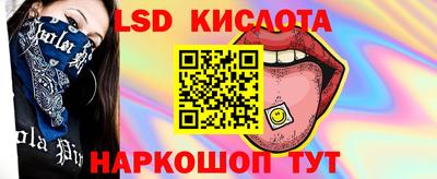 дмт Кудрово