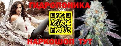 PSILOCYBIN Кудымкар