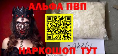 дмт Кудрово