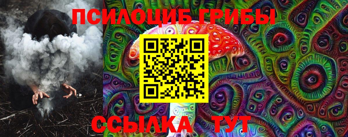 Псилоцибиновые грибы Psilocybine cubensis Ессентуки