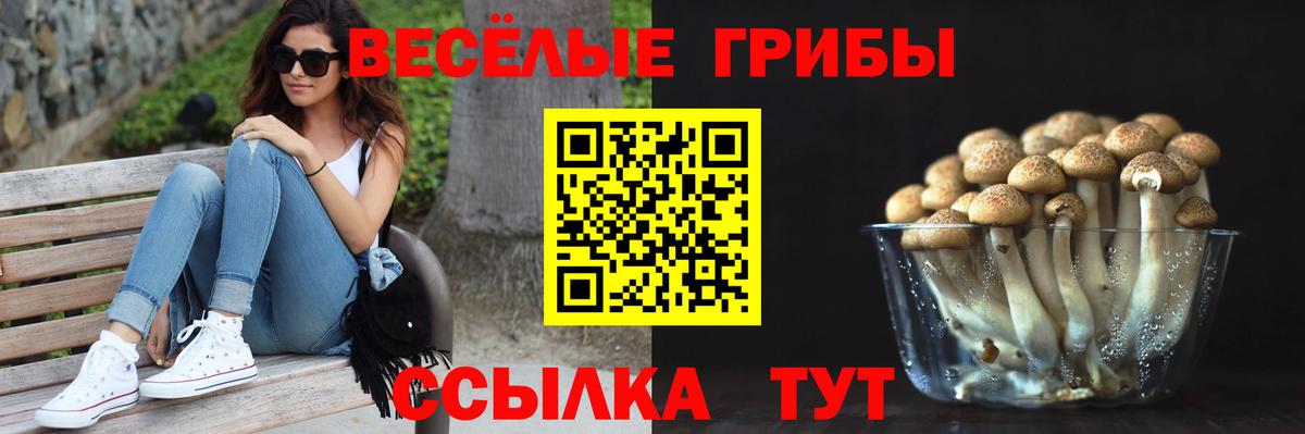 Ессентуки  Псилоцибиновые грибы ЛСД  Вход с VPN  Псилоцибиновые грибы Psilocybe 